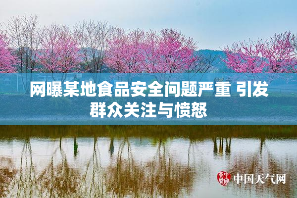 网曝某地食品安全问题严重 引发群众关注与愤怒