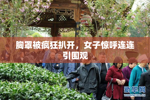 胸罩被疯狂扒开，女子惊呼连连引围观
