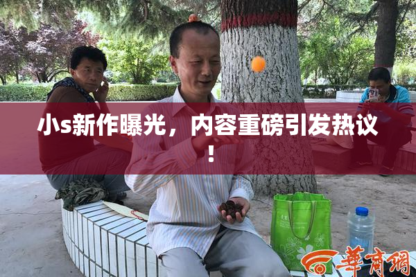 小s新作曝光，内容重磅引发热议！