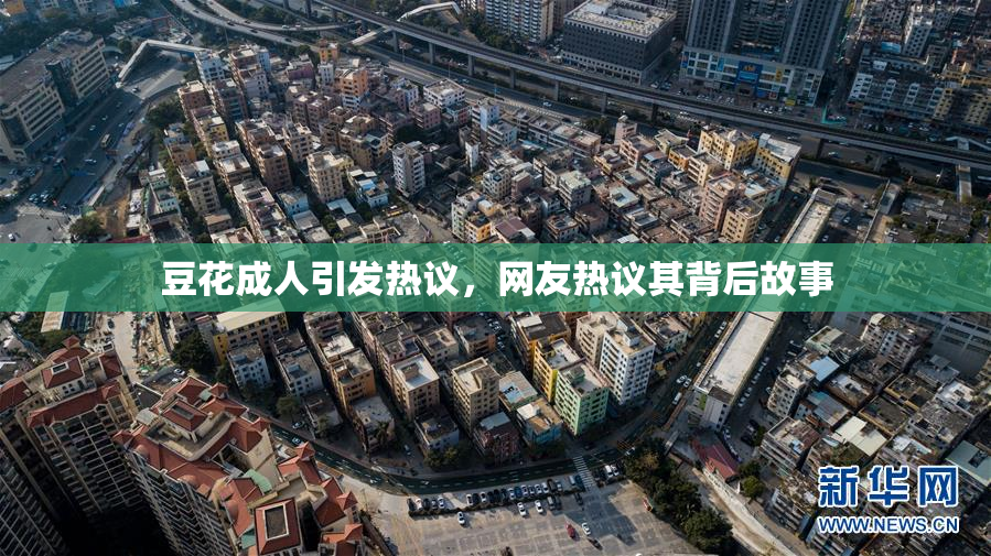 豆花成人引发热议，网友热议其背后故事