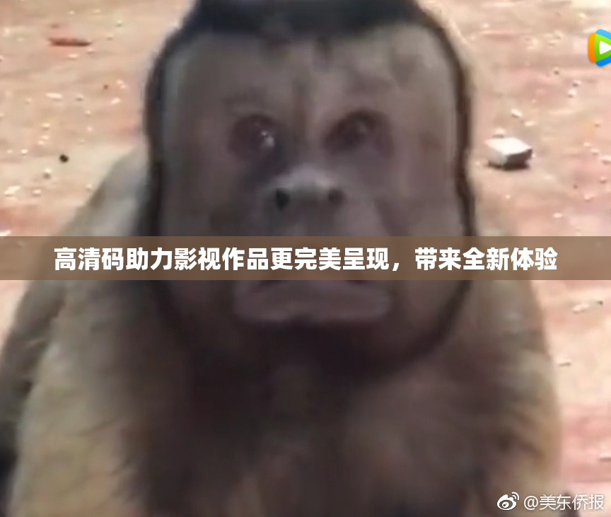 高清码助力影视作品更完美呈现，带来全新体验
