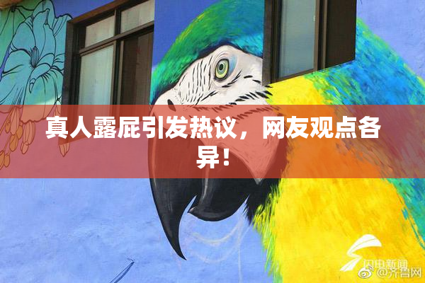 真人露屁引发热议，网友观点各异！