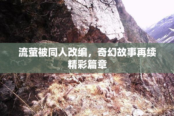 流萤被同人改编，奇幻故事再续精彩篇章
