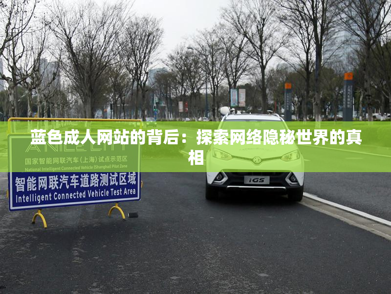 蓝色成人网站的背后：探索网络隐秘世界的真相