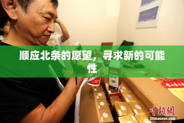 顺应北条的愿望，寻求新的可能性