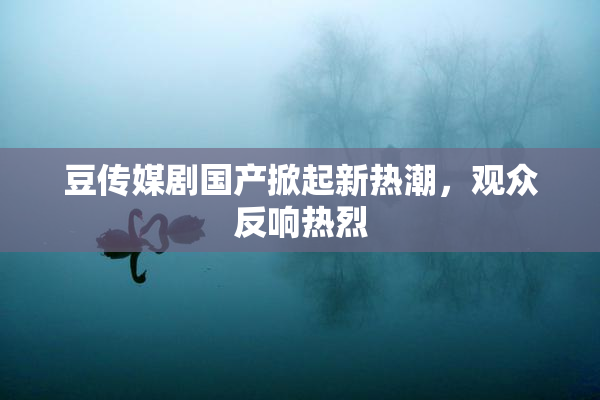 豆传媒剧国产掀起新热潮，观众反响热烈