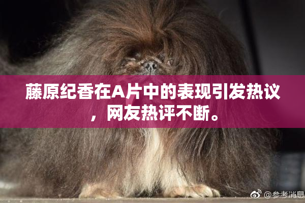 藤原纪香在A片中的表现引发热议，网友热评不断。