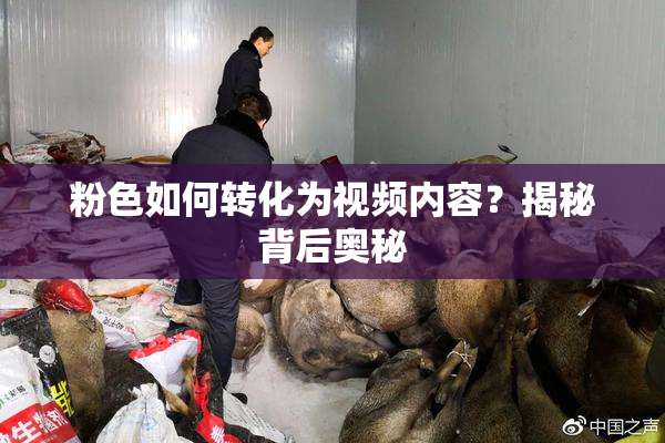 粉色如何转化为视频内容？揭秘背后奥秘