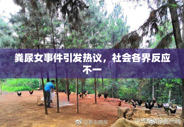 粪尿女事件引发热议，社会各界反应不一
