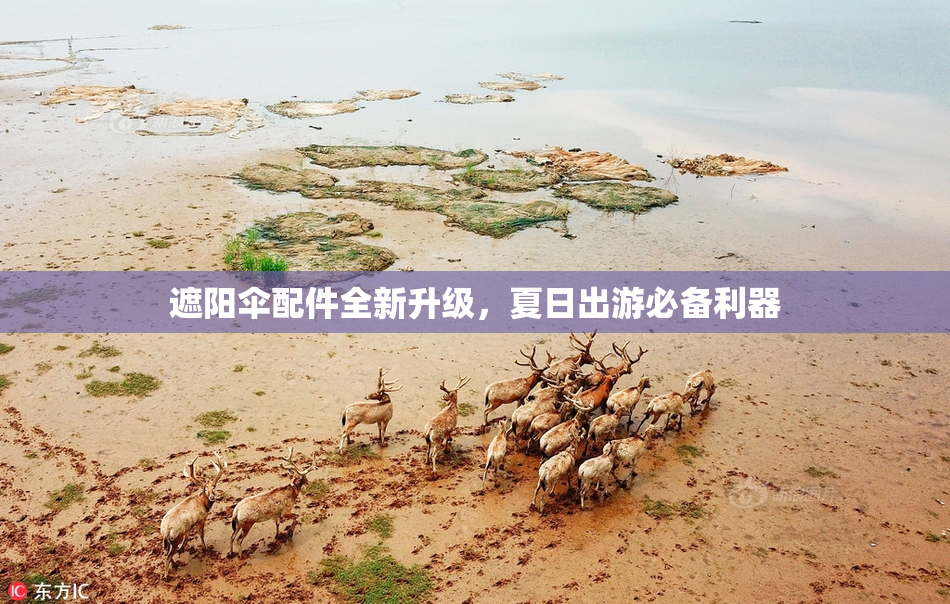 遮阳伞配件全新升级，夏日出游必备利器