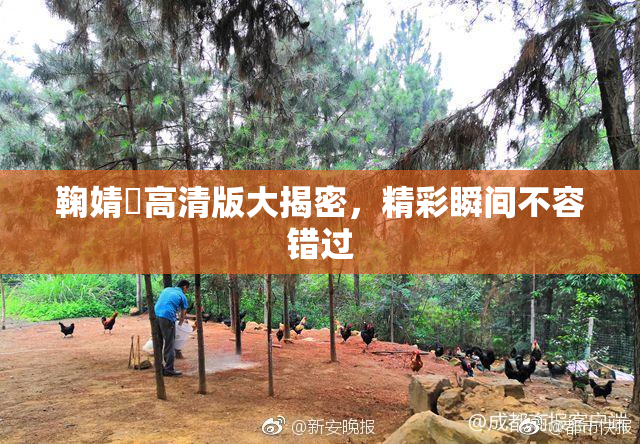 鞠婧祎高清版大揭密，精彩瞬间不容错过