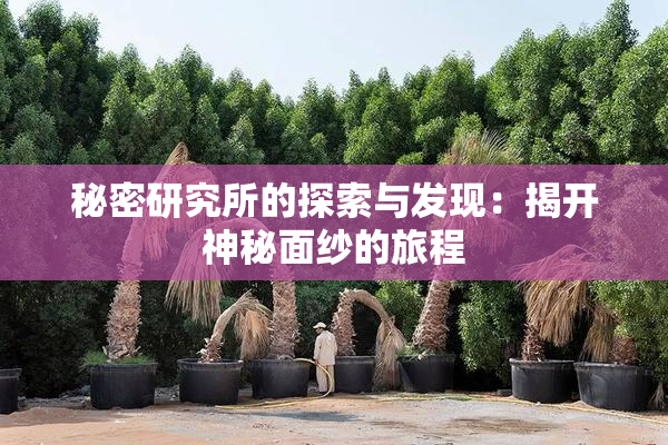 秘密研究所的探索与发现：揭开神秘面纱的旅程