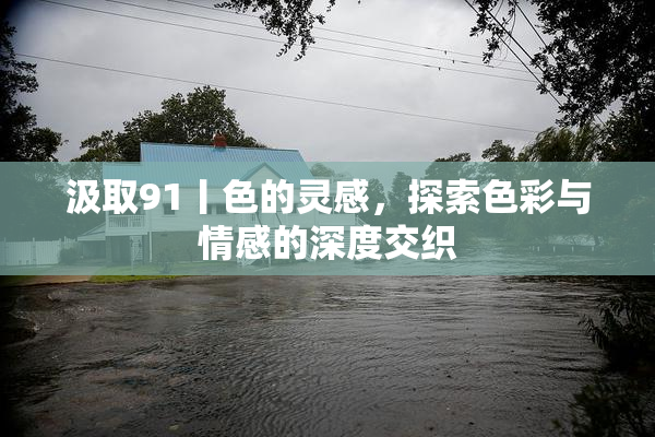 汲取91丨色的灵感，探索色彩与情感的深度交织