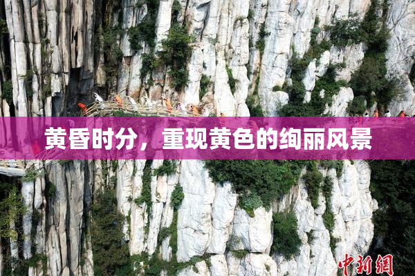 黄昏时分，重现黄色的绚丽风景