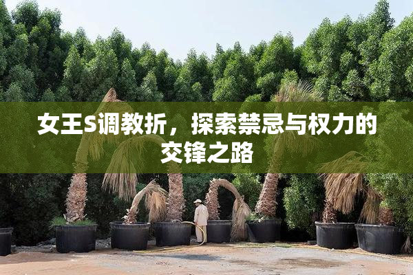 女王S调教折，探索禁忌与权力的交锋之路