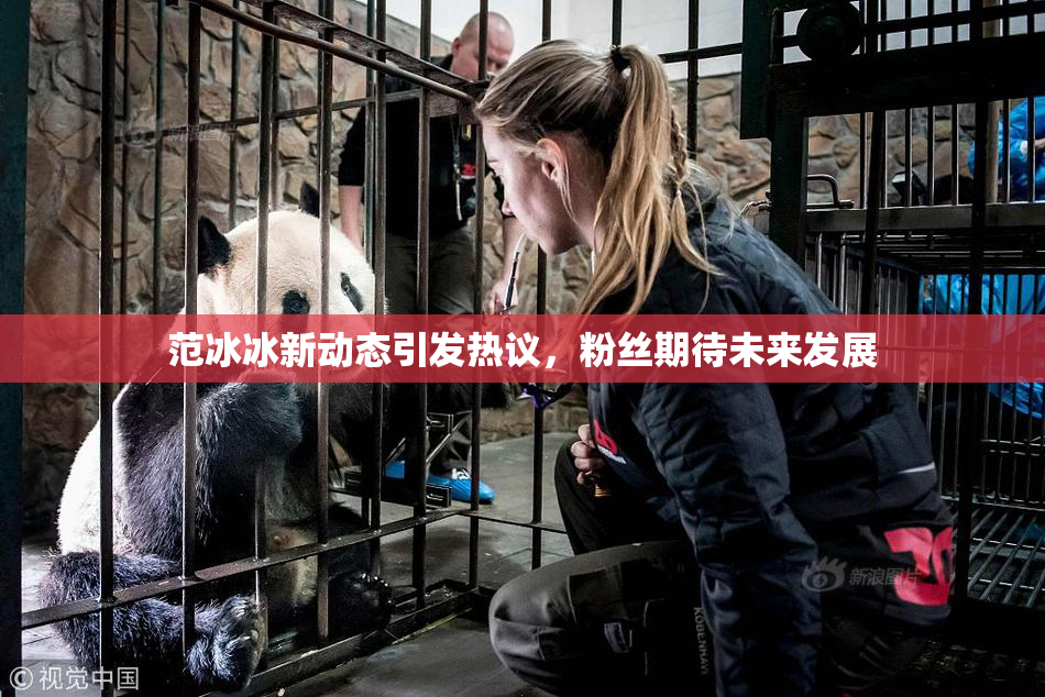 范冰冰新动态引发热议，粉丝期待未来发展