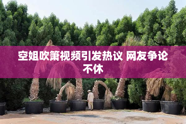 空姐吹箫视频引发热议 网友争论不休