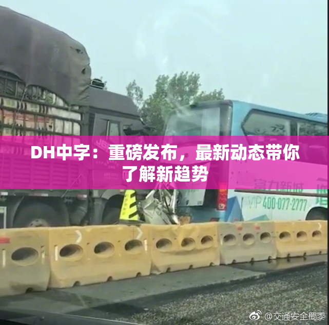 DH中字：重磅发布，最新动态带你了解新趋势