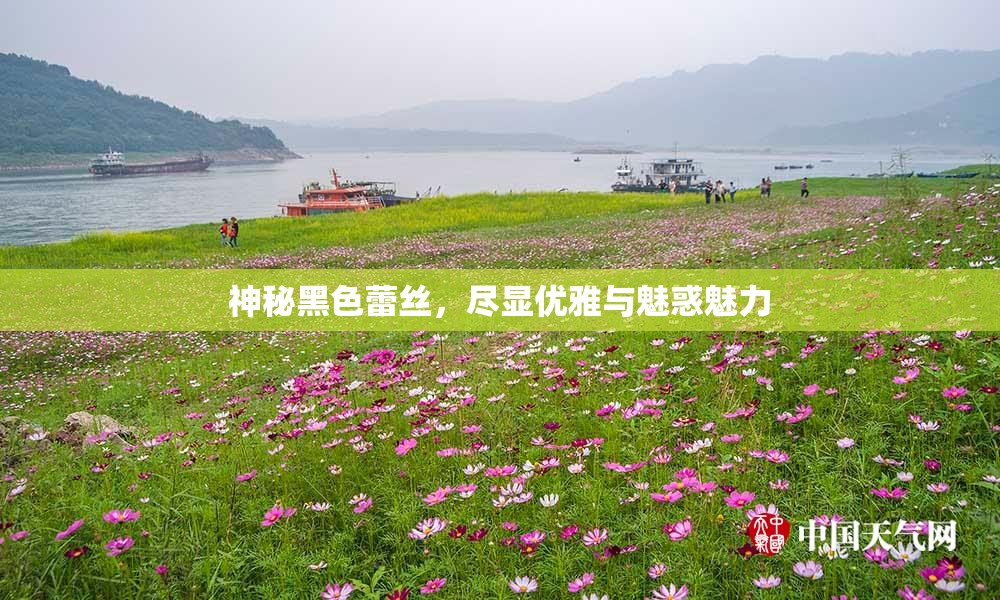 神秘黑色蕾丝，尽显优雅与魅惑魅力