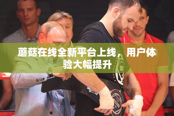 蘑菇在线全新平台上线，用户体验大幅提升