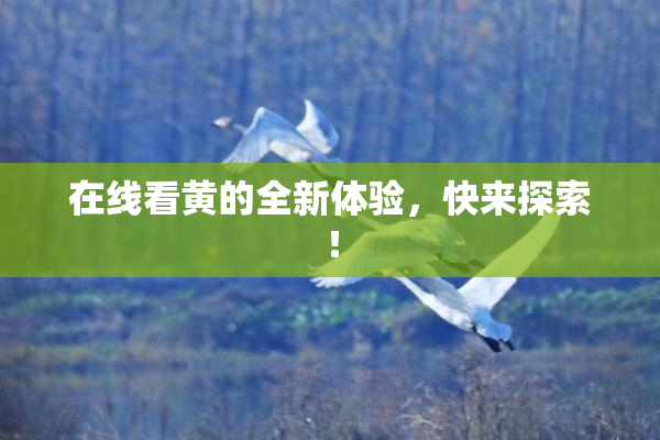在线看黄的全新体验，快来探索！