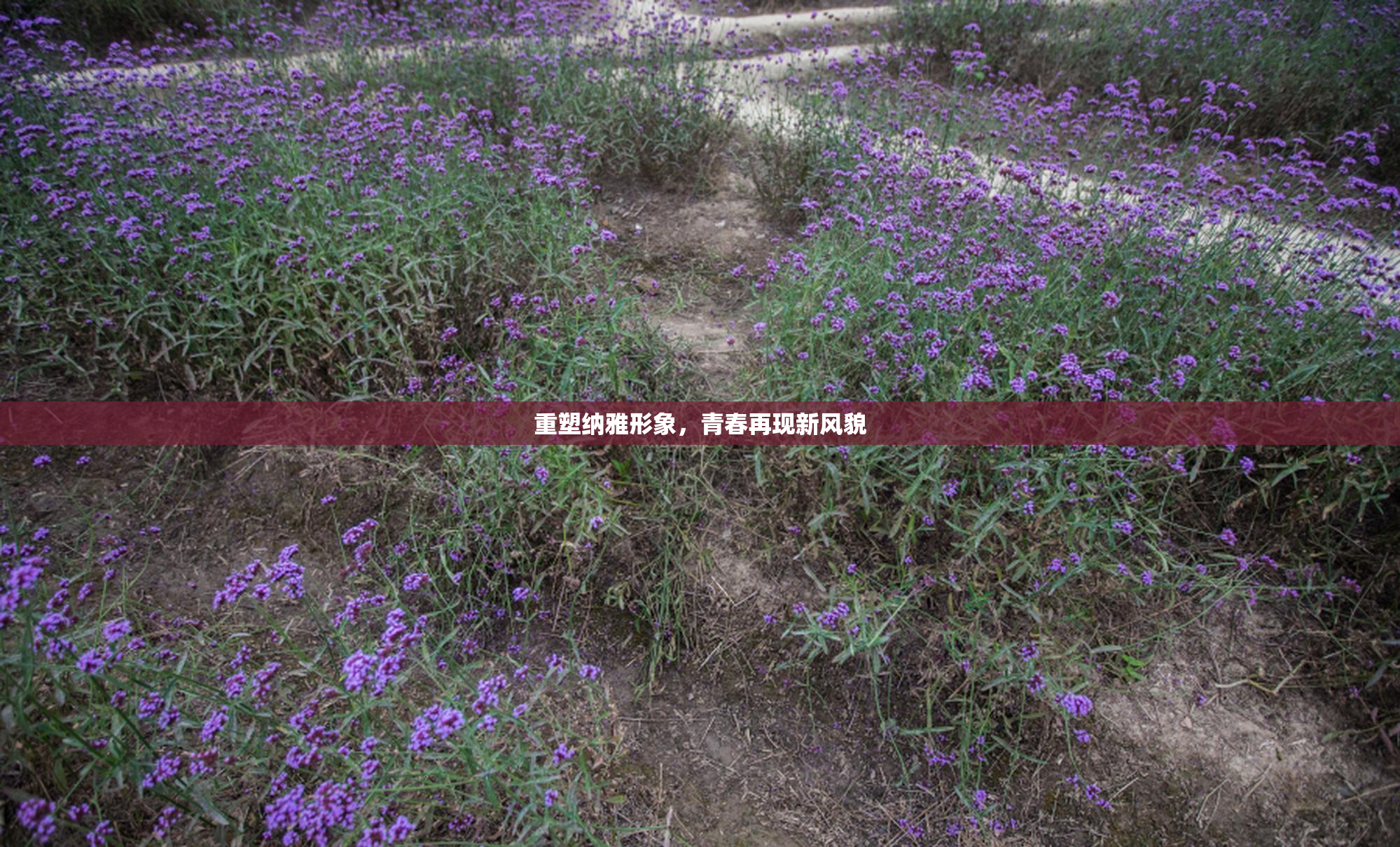 重塑纳雅形象，青春再现新风貌