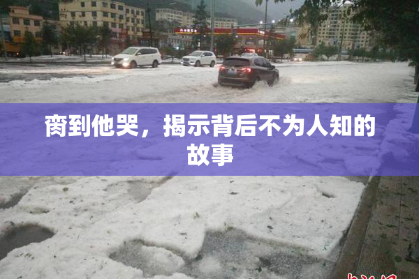 脔到他哭，揭示背后不为人知的故事