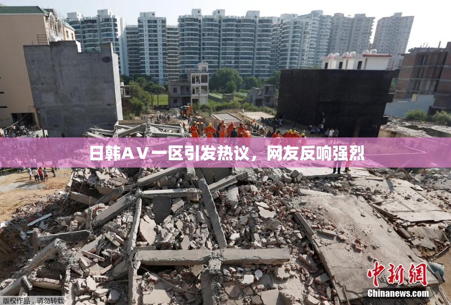 日韩AⅤ一区引发热议，网友反响强烈
