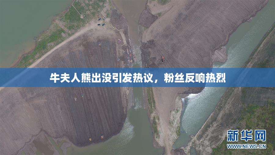 牛夫人熊出没引发热议，粉丝反响热烈