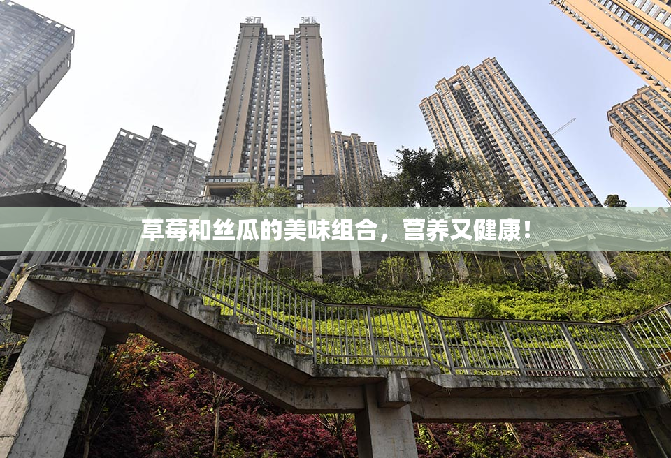 草莓和丝瓜的美味组合，营养又健康！