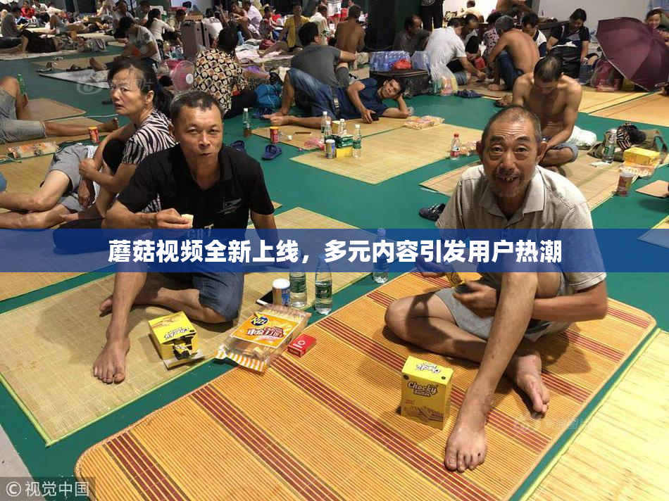 蘑菇视频全新上线，多元内容引发用户热潮