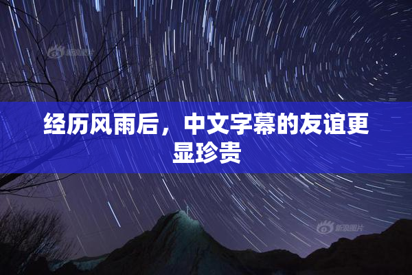 经历风雨后，中文字幕的友谊更显珍贵