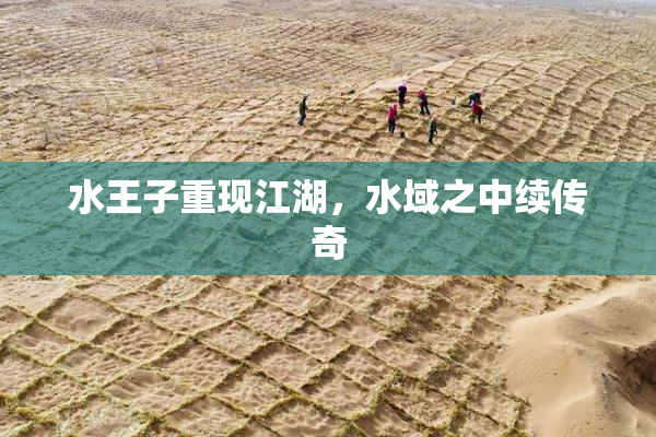 水王子重现江湖，水域之中续传奇