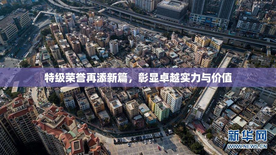 特级荣誉再添新篇，彰显卓越实力与价值