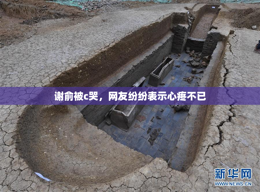 谢俞被c哭，网友纷纷表示心疼不已