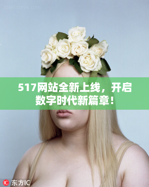 517网站全新上线，开启数字时代新篇章！