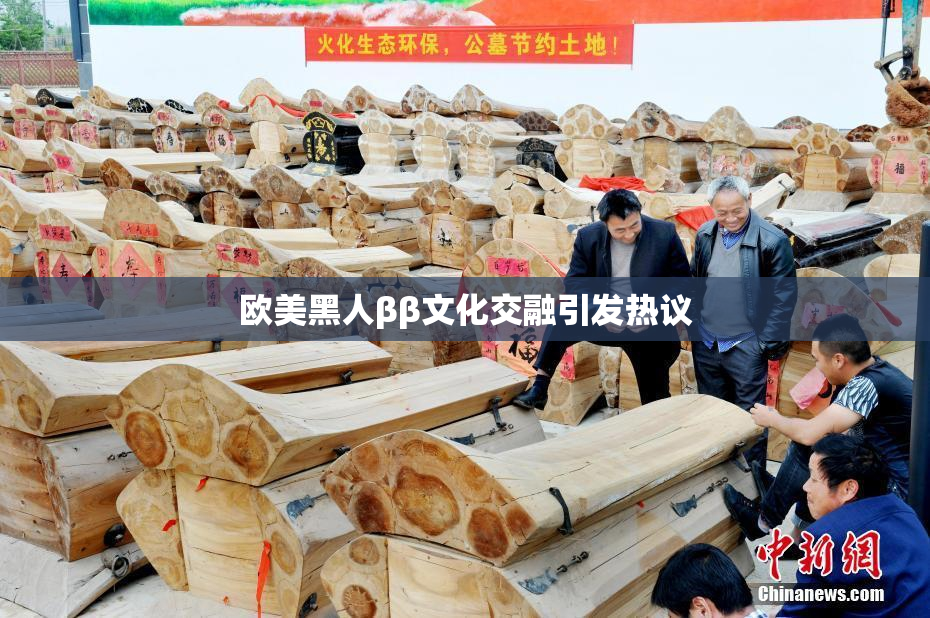 欧美黑人ββ文化交融引发热议
