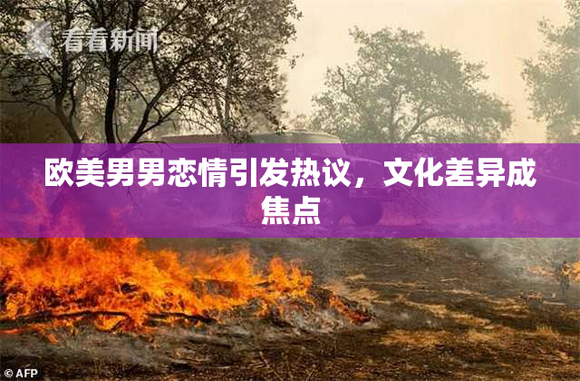 欧美男男恋情引发热议，文化差异成焦点
