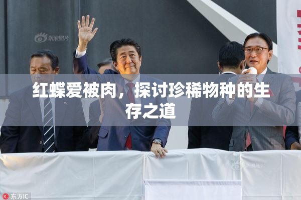 红蝶爱被肉，探讨珍稀物种的生存之道