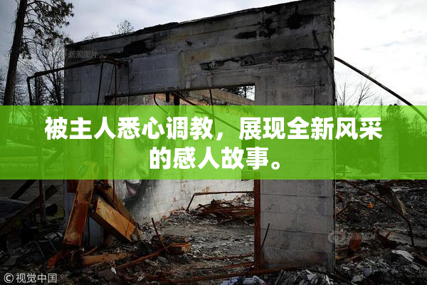 被主人悉心调教，展现全新风采的感人故事。