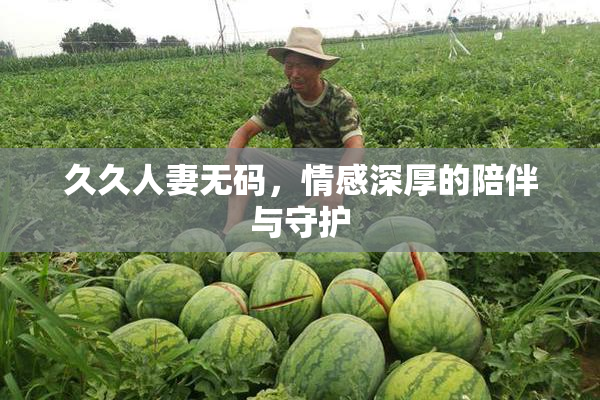 久久人妻无码，情感深厚的陪伴与守护