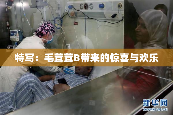 特写：毛茸茸B带来的惊喜与欢乐