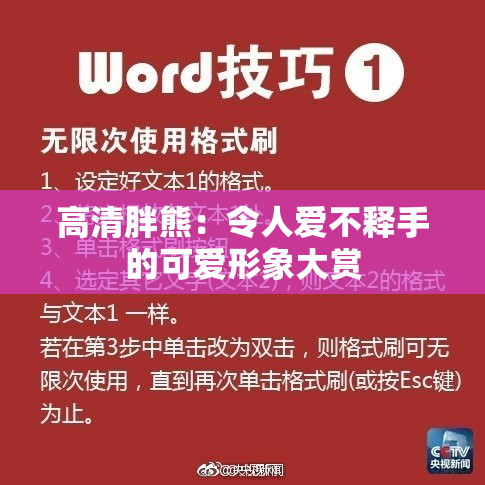 高清胖熊：令人爱不释手的可爱形象大赏