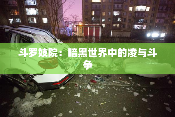 斗罗妓院：暗黑世界中的凌与斗争