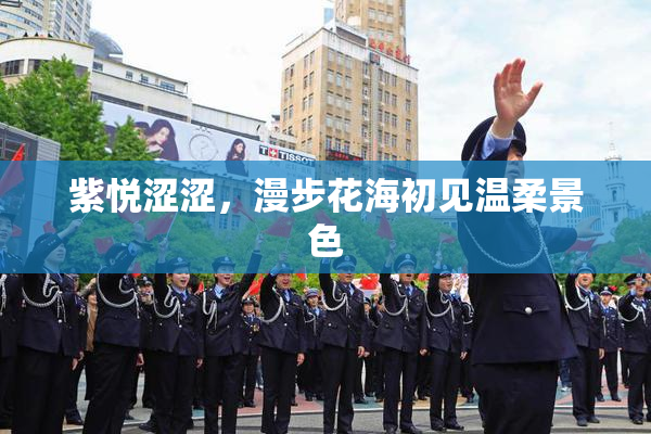 紫悦涩涩，漫步花海初见温柔景色