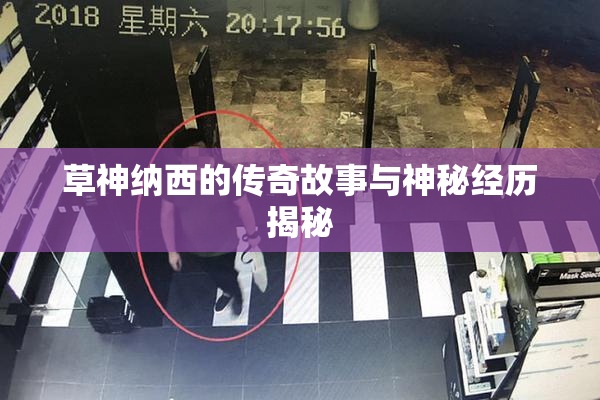 草神纳西的传奇故事与神秘经历揭秘