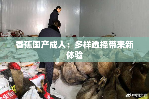 香蕉国产成人：多样选择带来新体验