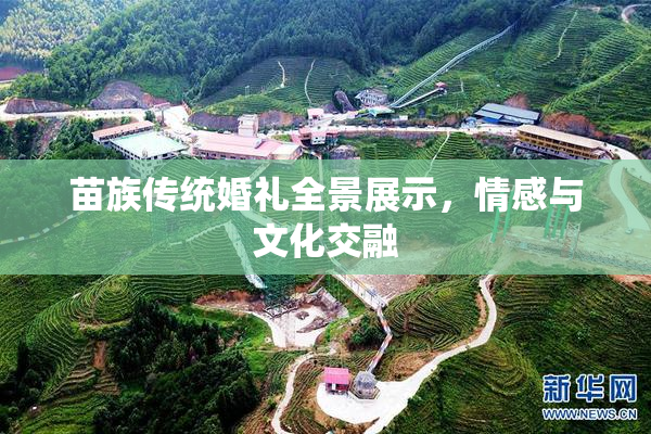 苗族传统婚礼全景展示，情感与文化交融