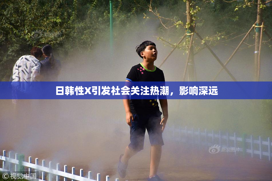 日韩性X引发社会关注热潮，影响深远