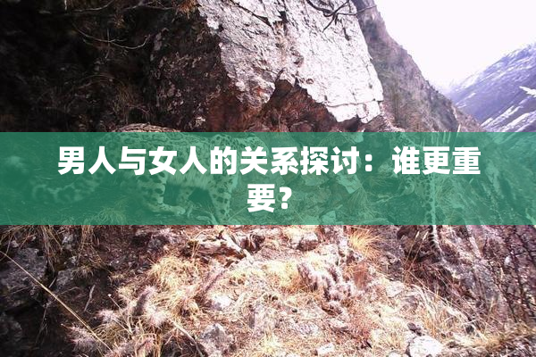 男人与女人的关系探讨：谁更重要？